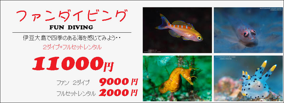 伊豆大島あとぱぱダイビングサービス-東京都大島町