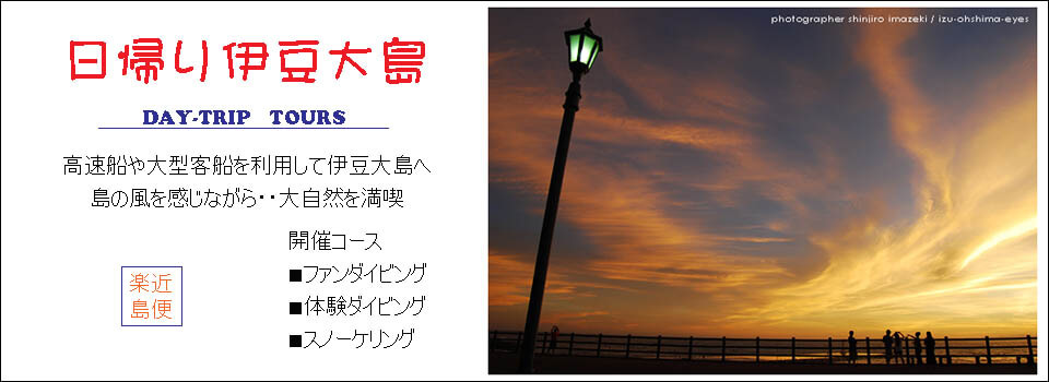 伊豆大島あとぱぱダイビングサービス-東京都大島町