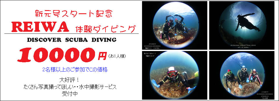 伊豆大島あとぱぱダイビングサービス-東京都大島町