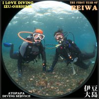 伊豆大島で体験ダイビング