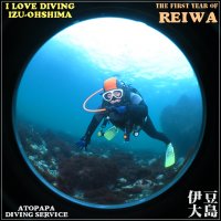 伊豆大島で体験ダイビング