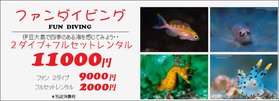 伊豆大島あとぱぱダイビングサービス-東京都大島町
