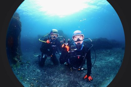 伊豆大島で体験ダイビング
